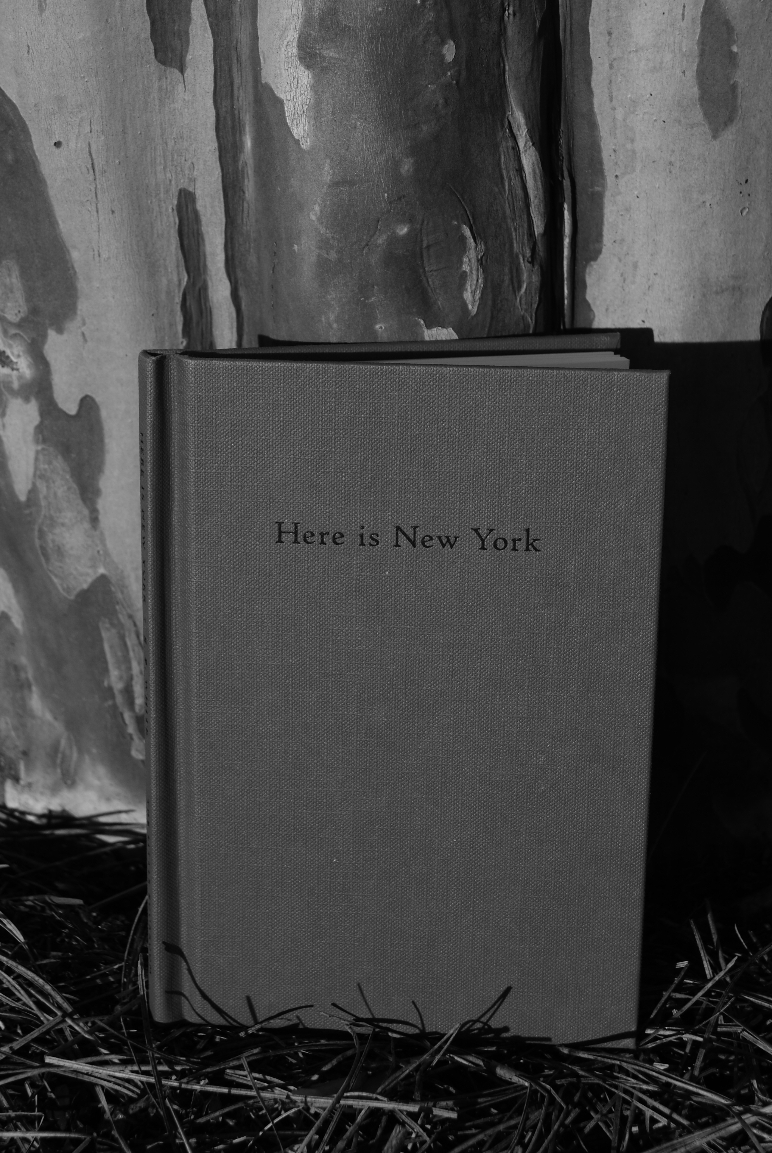 Eb white essay about new york